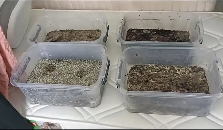 SON DAKİKA... Evinden dünyanın en tehlikeli uyuşturucusu çıkmıştı: Sözde terapist Ahmet Furkan Usalan’ın sırrı ortaya çıktı!