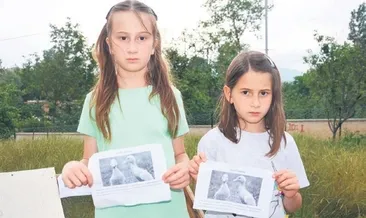 ‘Ördeklerimizi de bulur musun?’