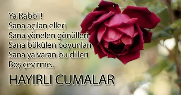 Haftanın en güzel ve yeni cuma mesajları - Cuma resimli mesajları için tıkla