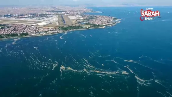 Deniz salyası bu kez Bakırköy kıyılarını sardı | Video