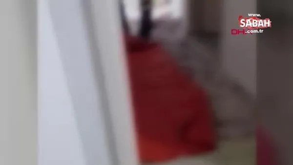 Kardeşi tarafından bıçaklanan hemşire Zübeyde Gülbakan'ın bıçaklandığı olayın yeni görüntüleri ortaya çıktı | Video