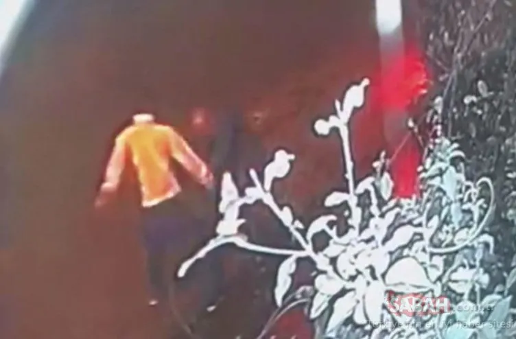 O cani için bakın ne ceza istendi