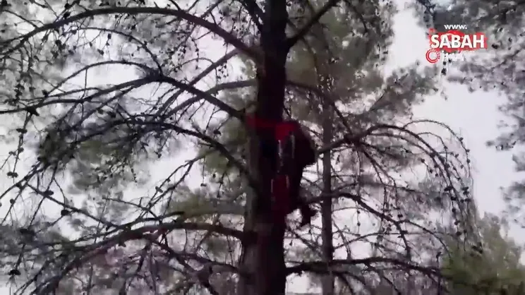 Ağaçta asılı kalan yabancı uyruklu paraşütçü böyle kurtarıldı