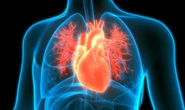 Kalp damar hastalıklarında yüzde 80 oranında koruma sağlıyor