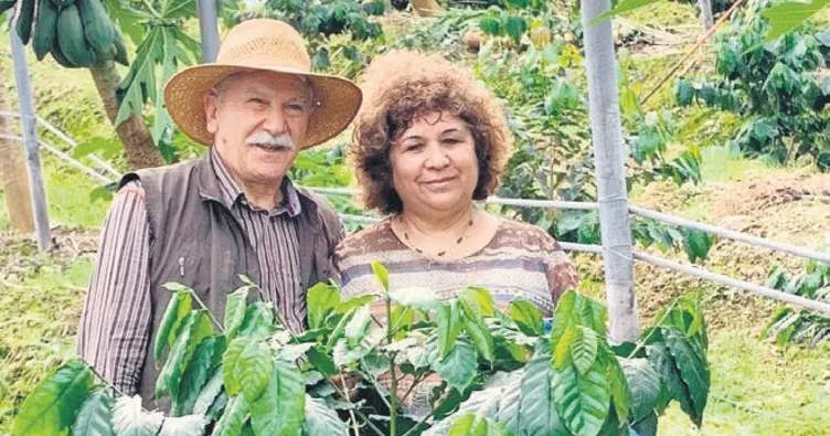 Kahve Yemen’den değil Gazipaşa’dan