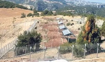 Devlet barınak yaptı belediye devralmadı #bilecik