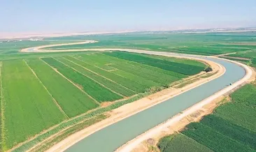 ‘Rüyalarımız gerçek oldu’