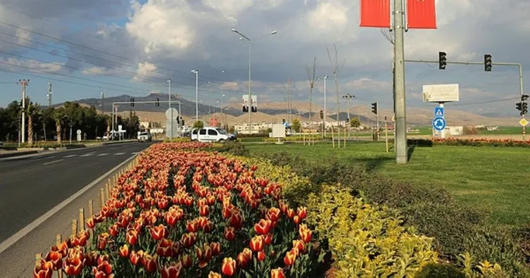 Mardin’de yeşillendirme çalışmaları devam ediyor