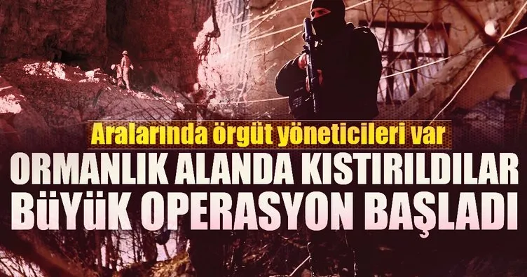 Son dakika haberi: PKK’lı hainler ormanlık alanda kıstırıldı!