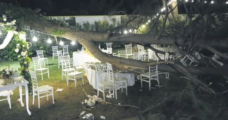 Kır düğününde ağaç devrildi: 1 ölü