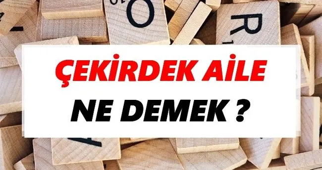 Çekirdek aile Ne Demek? TDK’ya Göre Çekirdek aile Sözlük Anlamı Nedir?