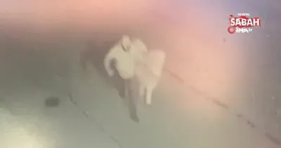 Midilli atını çalan hırsız önce kameraya sonra polislere yakalandı | Video