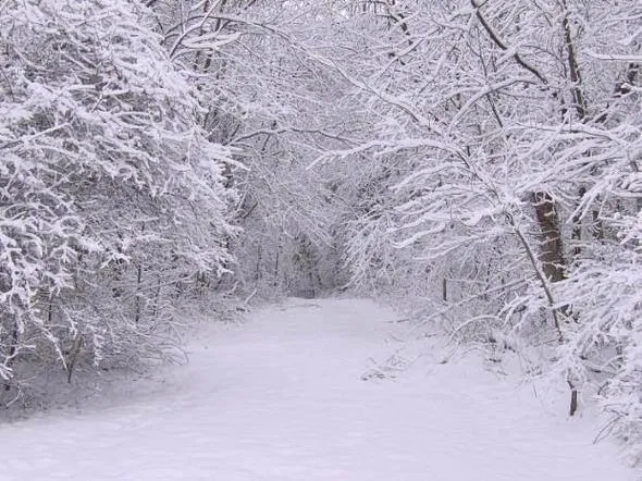 Yanlış bilinen doğrular: Bu hataya düşmeyin!