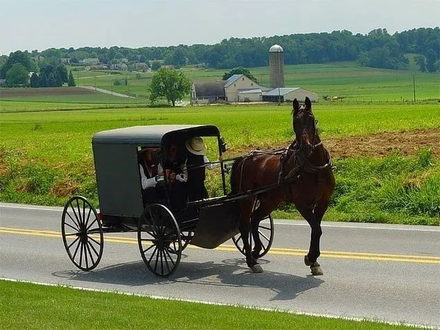 Şoke eden gelenekleriyle ABD’li Amişler: Daha hızlı çoğalmak için...