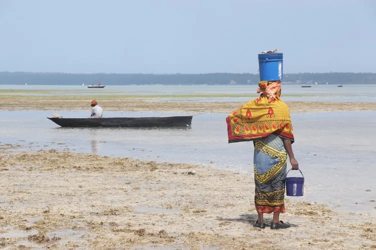 Doğası zengin, halkı yoksul ada: Zanzibar