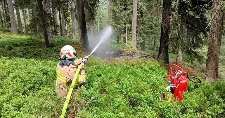 Avusturya’da uçak ormana çakıldı: 4 ölü