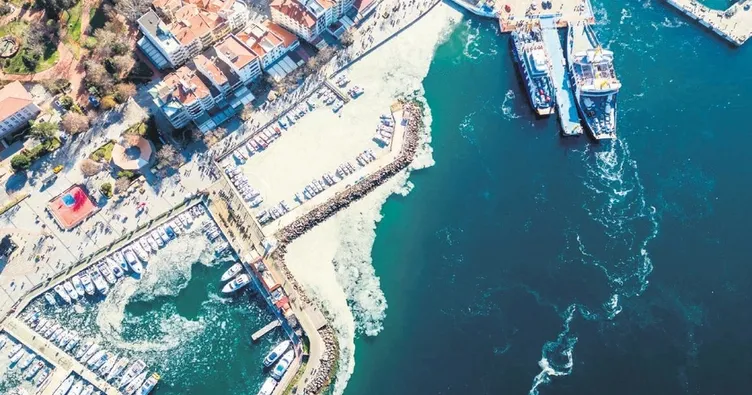 Marmara’da müsilaj erken paydos ettirdi