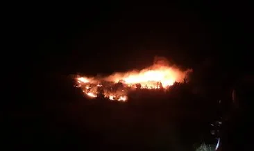 Malatya’da dağlık ve bahçelik alanda yangın
