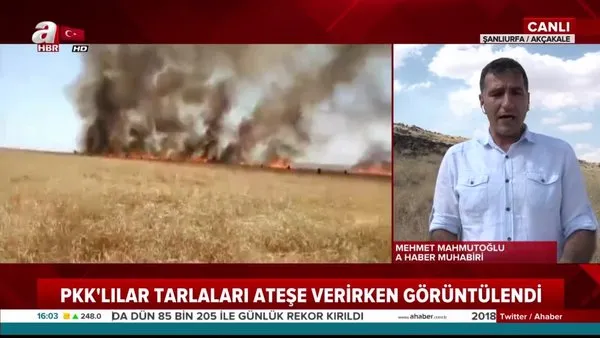 PKK/PYD terör örgütü Suriye'de halkın ekinlerini böyle ateşe veriyor