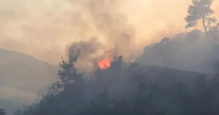 Bilecik’te orman yangını: Dumandan etkilenen 1 kişi hastaneye kaldırıldı