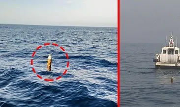 SON DAKİKA: Zonguldak'ta akılalmaz olay! Salyangoz avında öyle bir şey buldular ki... Ekipler teyakkuzda #trabzon