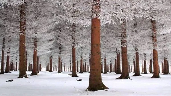 Konuşan fotoğraflar!
