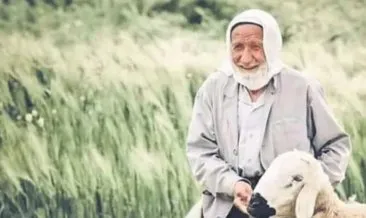 125 yaşındaki asırlık çınar vefat etti #sanliurfa