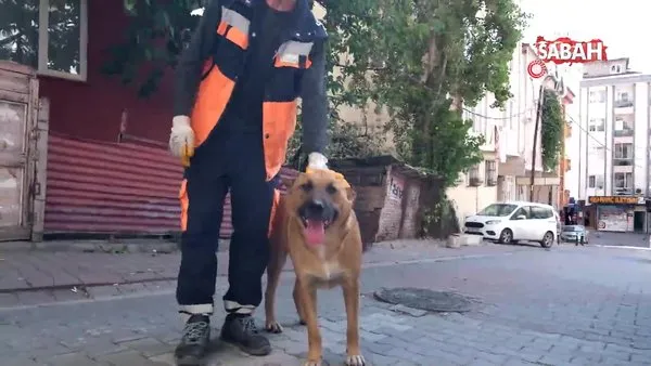 Sokak köpeği ile temizlik görevlisinin yürekleri ısıtan dostluğu | Video