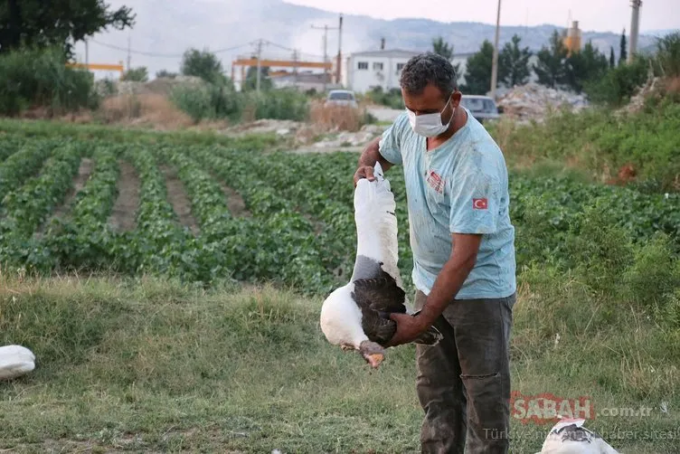 CHP'li başkan 40 kazı tüfekle vurdu! Şok iddia...