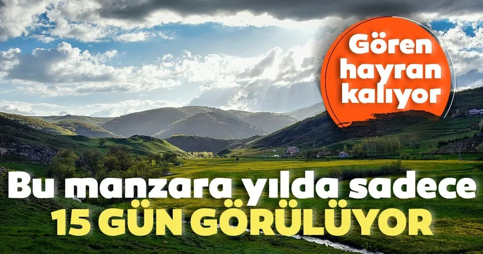bu manzara yilda sadece 15 gun
