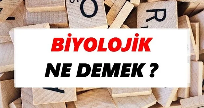 Biyolojik Ne Demek? TDK’ya Göre Biyolojik Sözlük Anlamı Nedir?