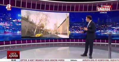 İBB, tarihi çınar ağaçlarını katletti! Çırağan artık çınarsız | Video