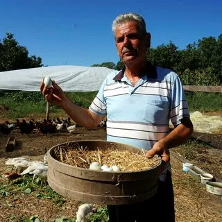 Son dakika: Mavi yumurtaya talep artıyor
