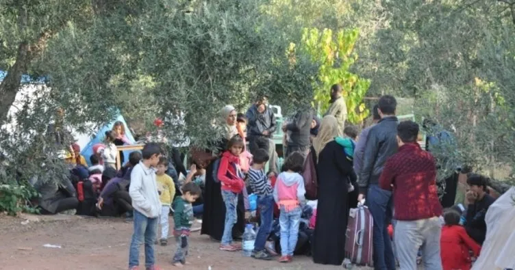 Dağlık alanda 122 kaçak göçmen yakalandı