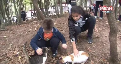 Samsun’daki ’Kedi Kasabası’nda çocuklara hayvan sevgisi aşılandı