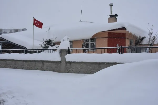 Bitul Kar Bitlis'te araçlar kara gömüldü - Bitlis Haberleri