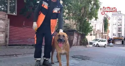 Sokak köpeği ile temizlik görevlisinin yürekleri ısıtan dostluğu | Video