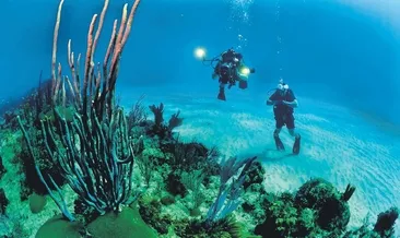 Derinliklerde mavi terapi