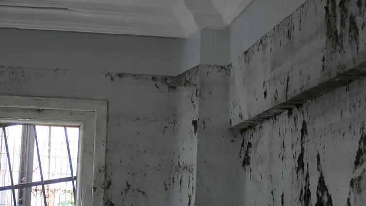 Gine’den gelmişti: İstanbul’da sel faciasında can verdi!