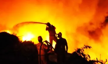 Son dakika | Ormanlar yanarken CHP’li Başkan gezi planı yapmış!
