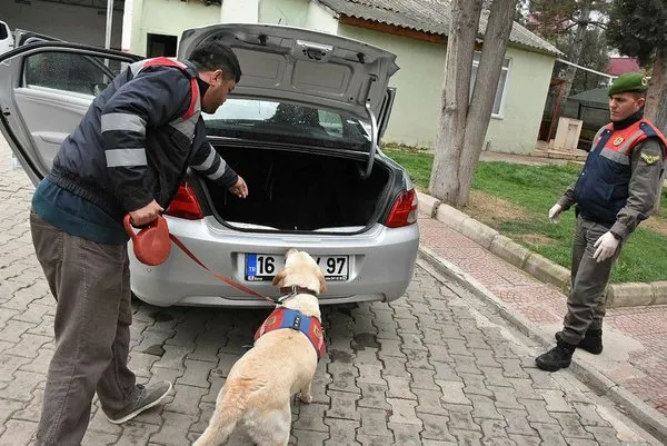 Bilecik'te ele geçirildi... Piyasa değeri tam 10 milyon TL