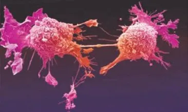 Avrupa’da bakteri krizi yayılıyor