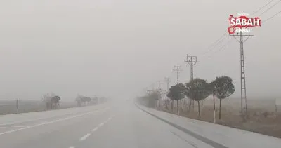 Van’ın yüksek kesimlerinde sis etkili oldu | Video