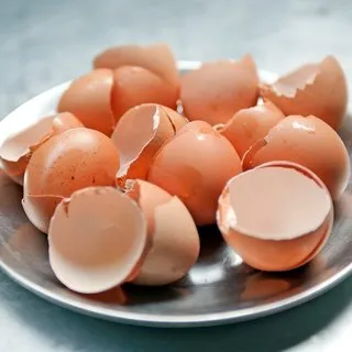 Kabuğunu atıyoruz ama faydası inanılmaz