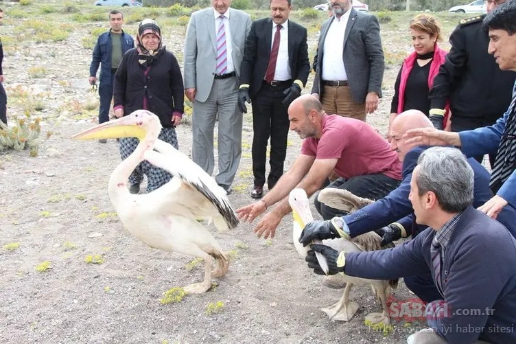Burdur’da doğal yaşam köyü Lisinia’ya bu yıl 300 bin ziyaretçi bekleniyor