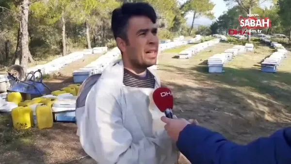 Adana'da binlerce arısı telef olan arıcı kazdığı mezar başında böyle dua etti | Video