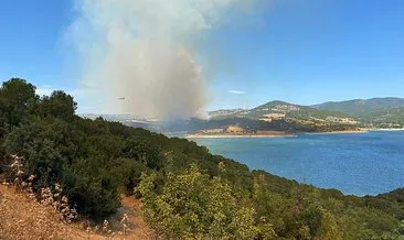 Çanakkale’de ormanlık alanda yangın çıktı! Ekiplerin müdahalesi sürüyor