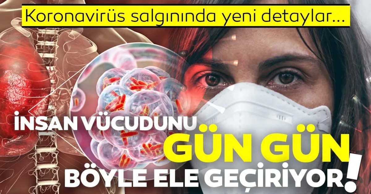 corona virusu belirtileri ile ilgili