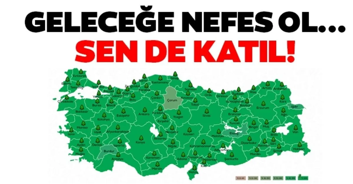 gelecege nefes ol kampanya basvuru