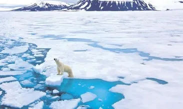 Dünyanın gözü kulağı kuzeyde